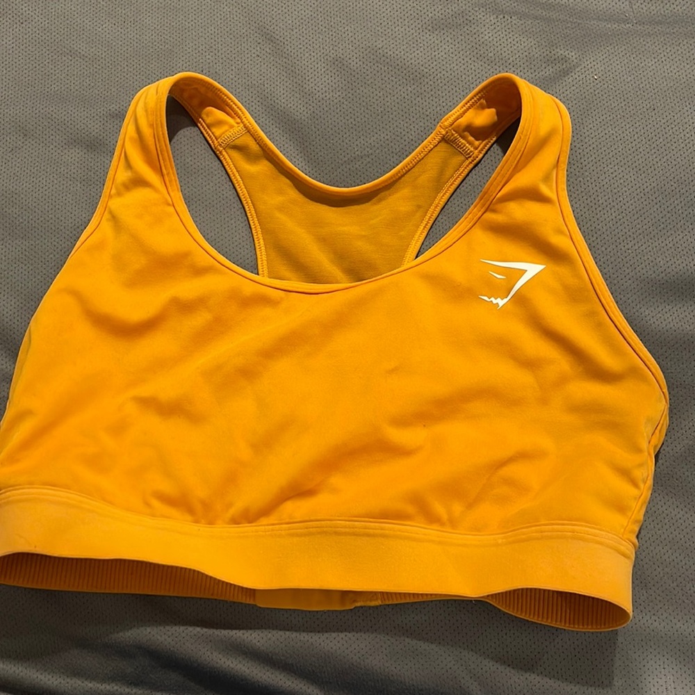 Gym shark sports bra
